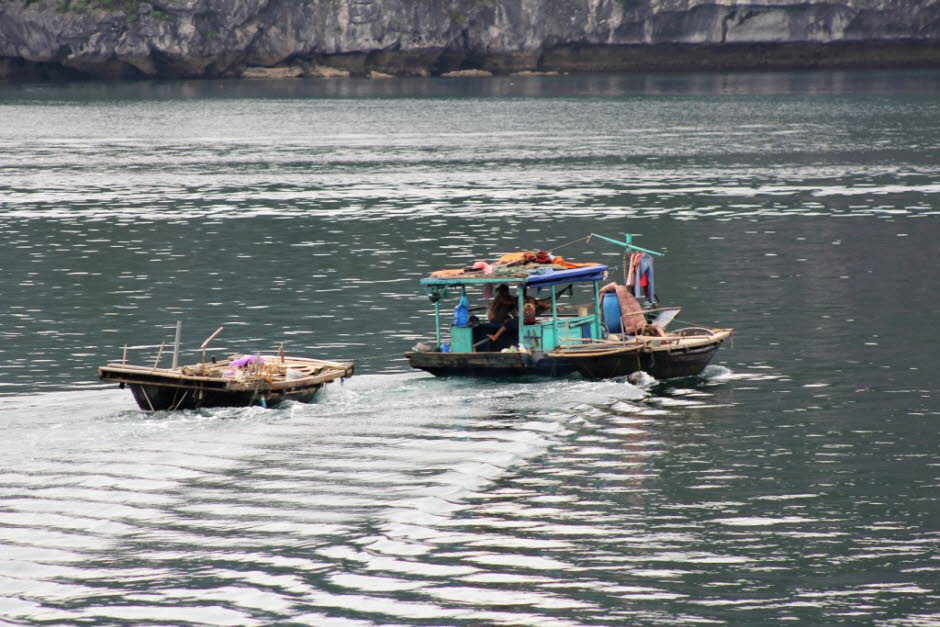 Halong-Bucht: Die Menschen in der Halong-Bucht sind Teil der mehrheitlich ethnischen Gruppe in Vietnam, der Kinh. Seit vielen Jahren leben die Einheimischen in der Halong-Bucht hauptsächlich in einzigartigen schwimmenden Fischerdörfern. Lebensunterhalt mi‚