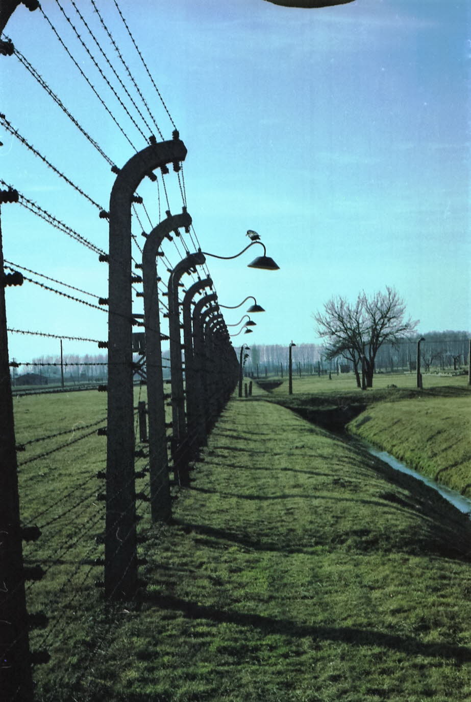 Auschwitz: Auschwitz ist weltweit zu einem Symbol für Terror, Völkermord und Holocaust geworden. Es wurde 1940 von Deutschen in den Vororten von Oswiecim gegründet, einer polnischen Stadt, die von den Nazis dem Dritten Reich angegliedert wurde. Sein Name 5