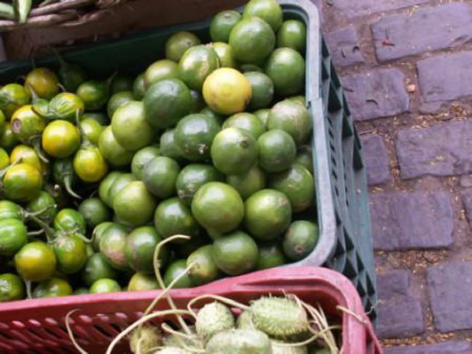 Markt in Salvador da Bahia: Guaven: Guave, (Psidium guajava), kleiner tropischer Baum oder Strauch der Familie Myrtaceae, der wegen seiner essbaren Früchte angebaut wird. Guavenbäume sind im tropischen Amerika beheimatet und werden weltweit in tropischen B