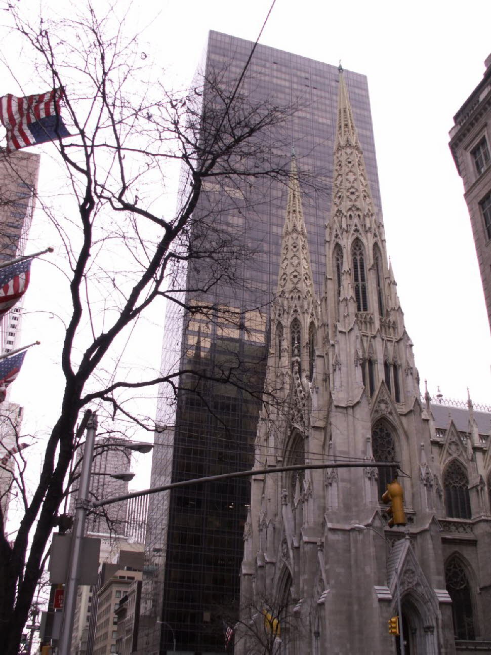 Die größte im neugotischen Stil erbaute Kathedrale in den Vereinigten Staaten ist die St. Patrick’s Cathedral. Sie befindet sich an der Fifth Avenue in Manhattan, zwischen der 50. und der 51. Straße, direkt gegenüber dem Rockefeller Center. Die Kathedraleô