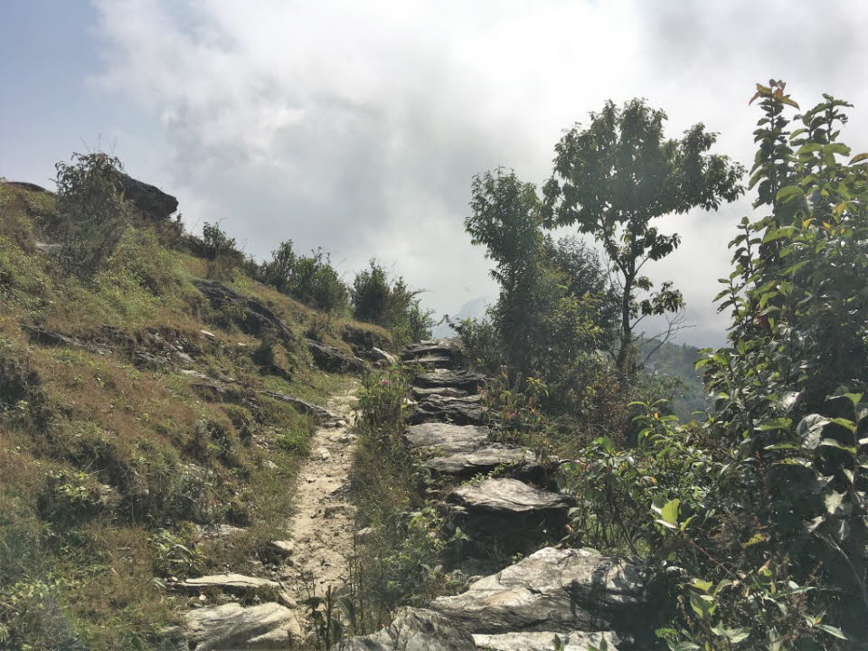 Trekking von Kande nach Panchaase Bhaniyang: Die Gegend um Panchase wird von lokalen Gurung-Gemeinden bewohnt, so dass es keine Städte oder Dörfer für Besucher gibt, um eine Unterkunft zu finden. Der Name dieses herrlichen Berges leitet sich von seiner au