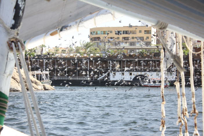 0 Felukenfahrt auf dem Nil in Assuan  - Das fast hundert Jahre alte Dampfschiff Sudan ist der letzte Zeuge der Belle Epoque Tage der Nilkreuzfahrt. In seinem Kielwasser schwebt der visionäre Geist von Sir Thomas Cook und die Geschichte der Kreuzfahrten au
Í