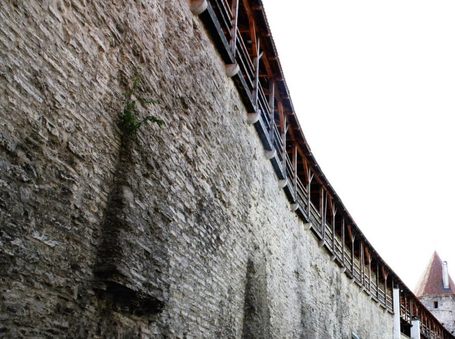 Stadtmauer von Tallinn: Der Schlosskomplex besteht aus mehreren Teilen: Die Westmauer und der Hohe Hermannsturm gehören zur mittelalterlichen Festung des Ordens der Schwertbrüder, das Regierungsverwaltungsgebäude repräsentiert die zaristische Ära und ist B