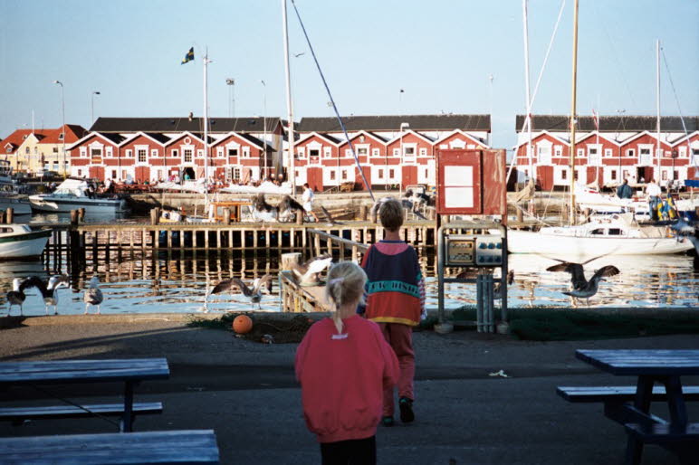 Hasle Havn ist ein Fischer- und Sportboothafen ca. fünf Seemeilen im Norden von Rönne.