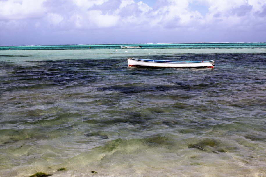 Die unbewohnte Insel wurde im Februar 1528 nach dem portugiesischen Entdecker Diogo Rodrigues benannt. Viele Karten beschreiben sie auch als Diego Roiz. Seit dem 10. Jahrhundert sind Araber dafür bekannt, die Mascarene-Inseln zu besuchen. Eine Karte des aŠ