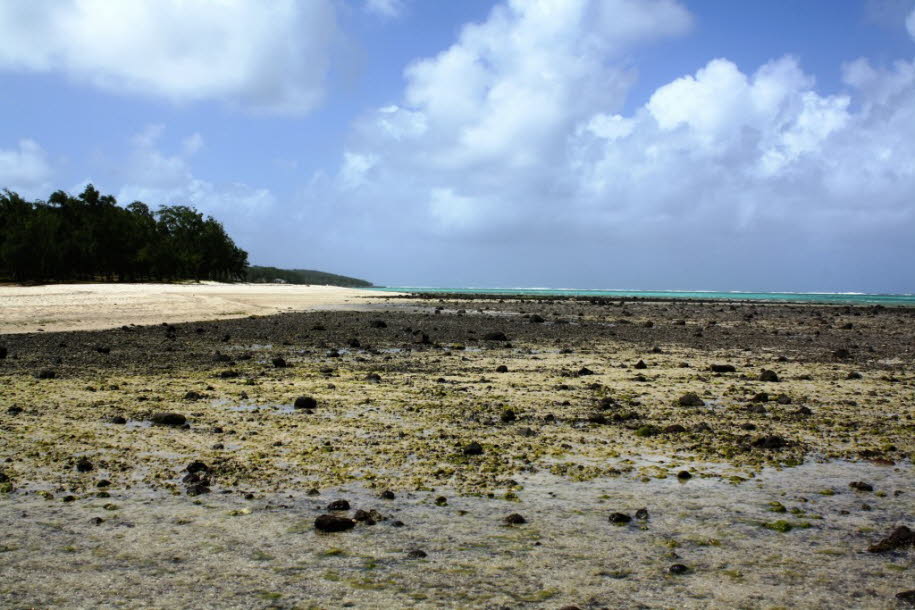 Nach einem kurzen Kampf mit den Franzosen nahmen britische Truppen 1809 Rodrigues in Besitz. Nach der britischen Besetzung wurde die Sklaverei schließlich 1834 abgeschafft. Bis 1843 war die Bevölkerung auf 250 zurückgegangen. 1883 war der Ausbruch des indï