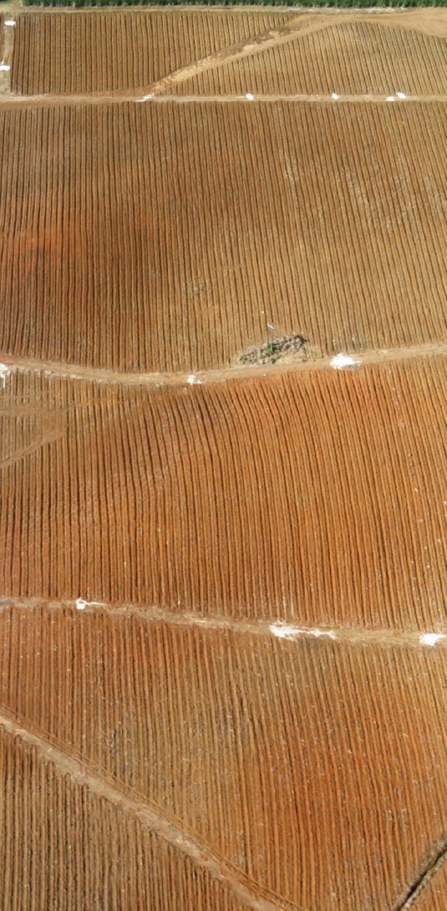 Rodrigues ist eine Vulkaninsel, die sich von einem Kamm am Rande des Mascarene-Plateaus erhebt. Der tektonisch aktive Rodrigues Triple Point liegt auf dem Meeresboden in der Nähe. Rodrigues ist nur 1,5 Millionen Jahre alt, auch wenn das Plateau unter der 