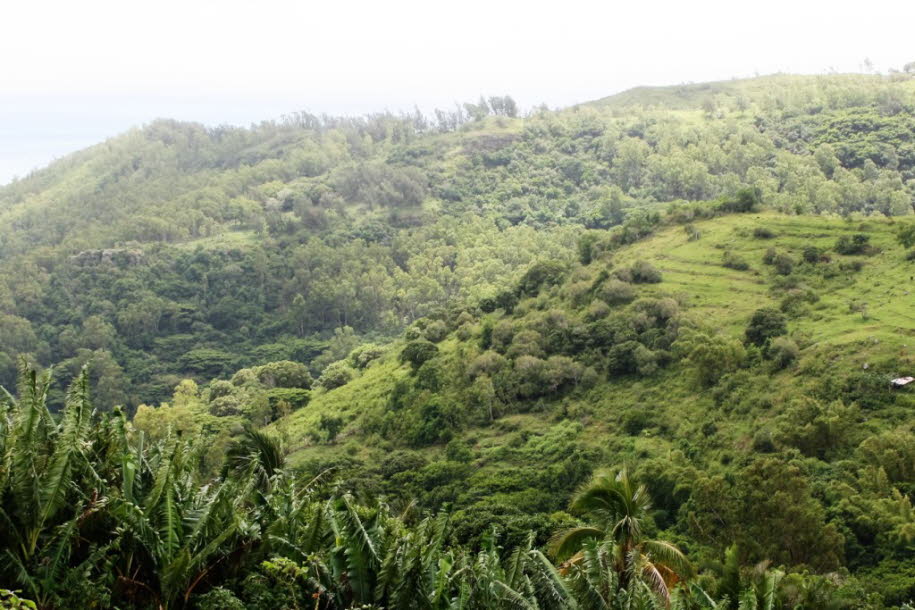 Rodriguez Indischer Ozean