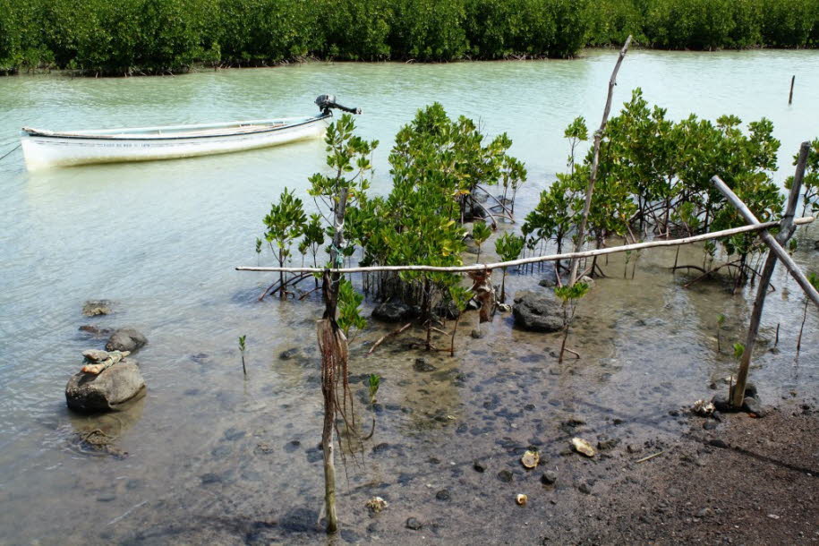 Rodriguez Indischer Ozean Fischtrocknung