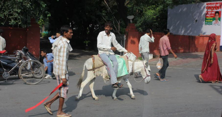Agra Rajasthan Indien Straßenszene
