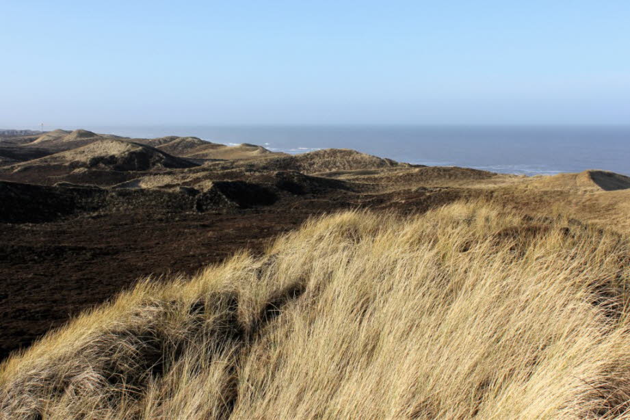weil die Dnen auf Sylt wandern.