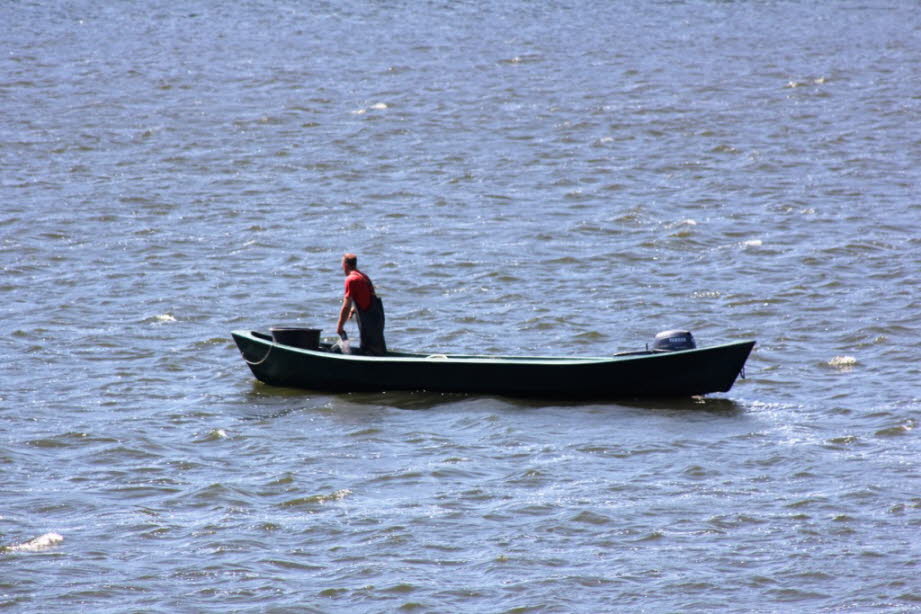 weil der Fischer vom Schmalensee seine Fische wie vor 200 Jahren fängt.