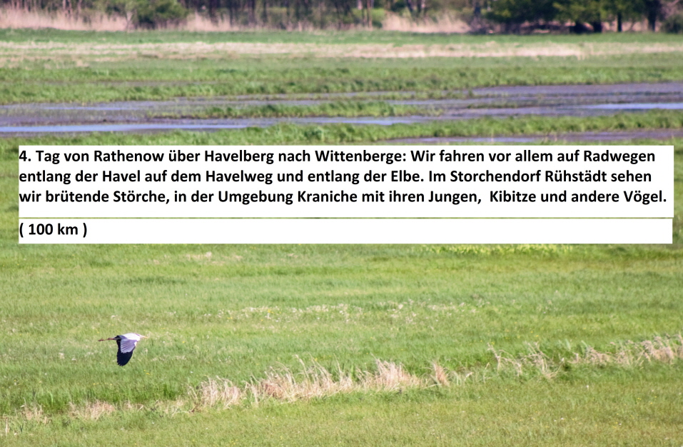 Havelland