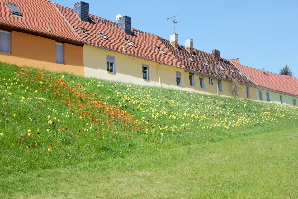 Havelberg