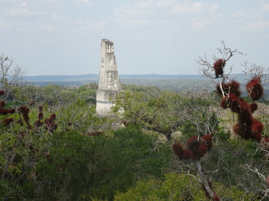 Tikal: Die große Plaza ist wahrscheinlich der spektakulärste Teil von Tikal, umgeben von Stelen, geschnitzten Altären, zeremoniellen Gebäuden, Palästen und einem Ballgericht. Es enthält die berühmten Zwillingspyramiden Tempel I und II. Beide sind majestät