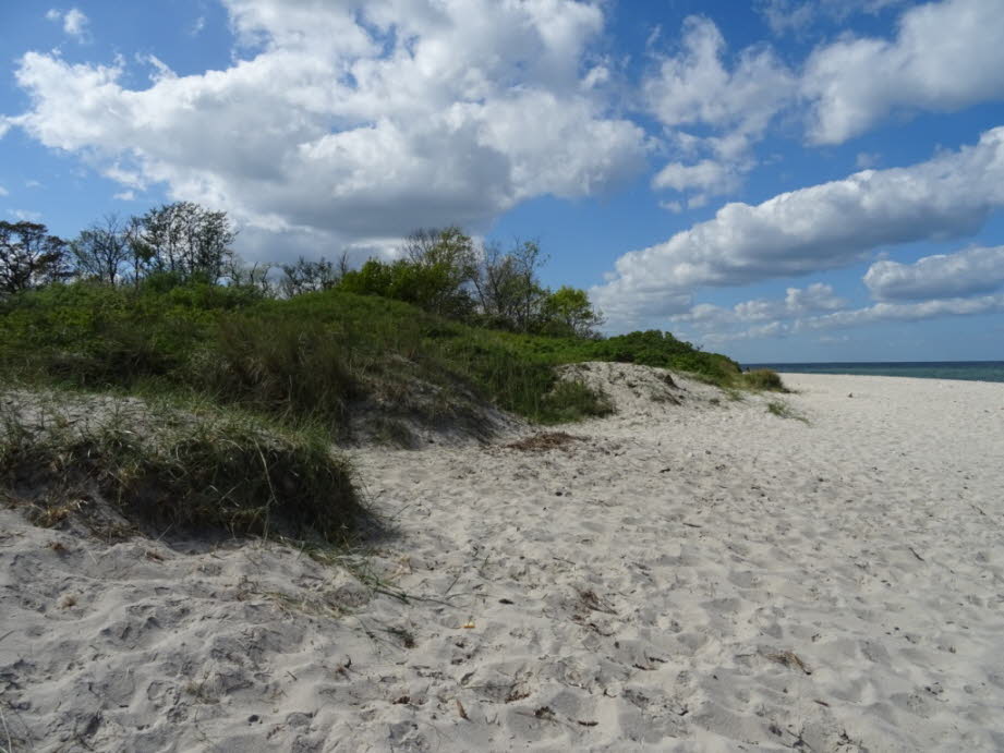 weil in Schwedeneck an der Ostsee Dünen sind.