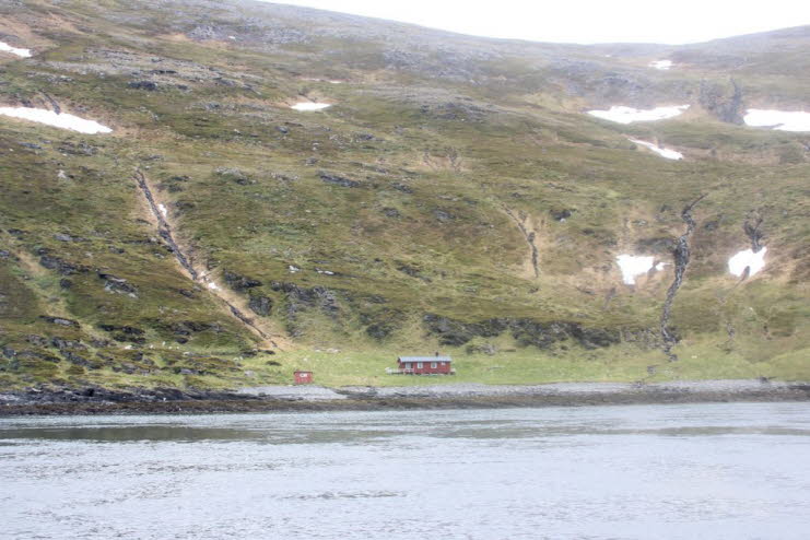 Das Naturschutzgebiet Gjesværstappan wurde 1983 aufgrund seiner großen Population nistender Seevögel im Sommer gegründet und besteht aus 3 Hauptinseln: Storstappen, Kjerkestappen und Bukkstappen. Dieses Naturschutzgebiet ist die Heimat von fast 1 Million 