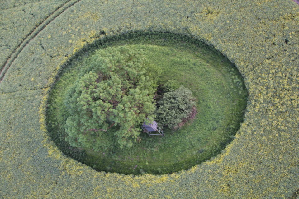 Das Bild zeigt eine kreisrunde Lichtung mitten in einem dichten Feld – und genau diese Form macht es so aussagekräftig. Ich gebe dir eine klare, inhaltliche Deutung dessen, was das Bild aussagt, also welche Bedeutung, Funktion und mögliche Geschichte dari