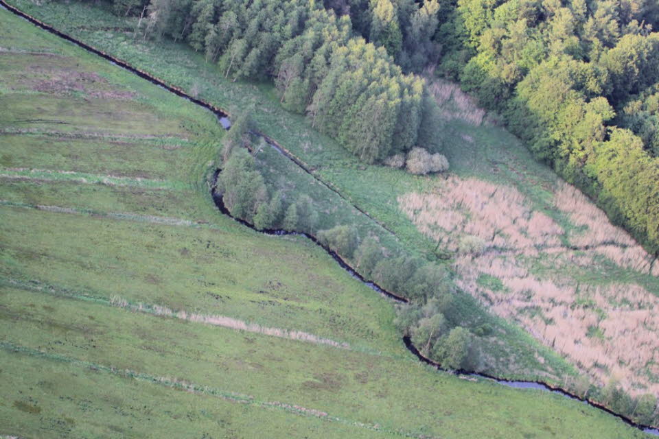 Das Bild erzählt eine ganze kleine Geschichte darüber, wie Bäche funktionieren, wie Landschaften leben und wie Natur sich selbst gestaltet, wenn man sie lässt. Drei Ebenen springen besonders ins Auge: 1. Der Bach als lebendiger Organismus: Der Bach schlän