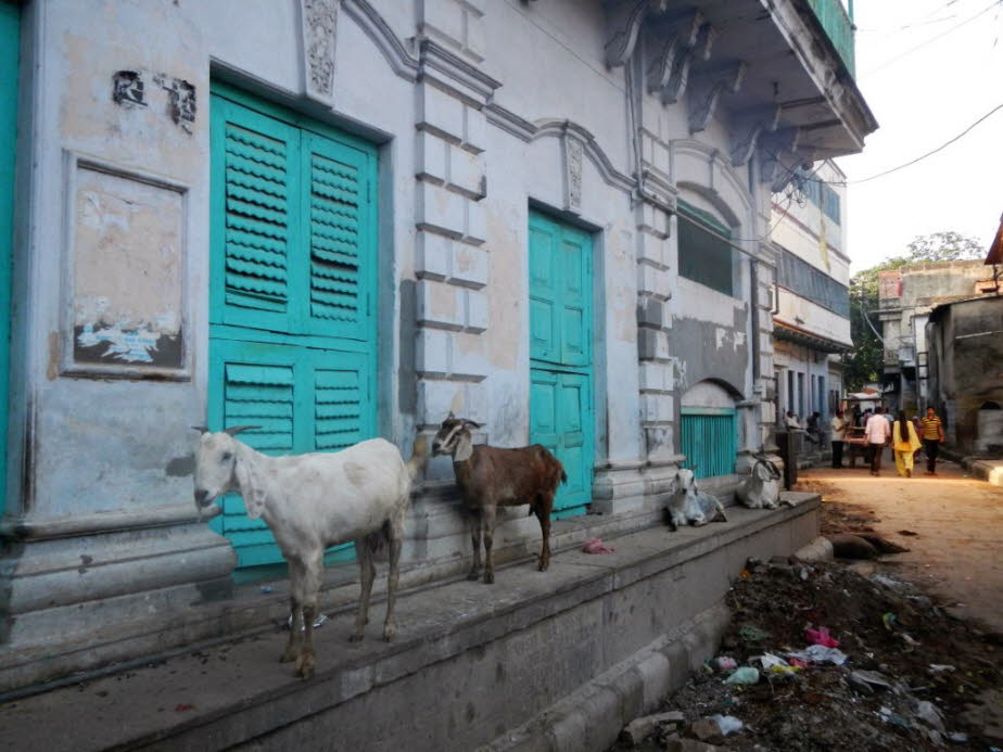 Straße in der Altstadt von Varanasi