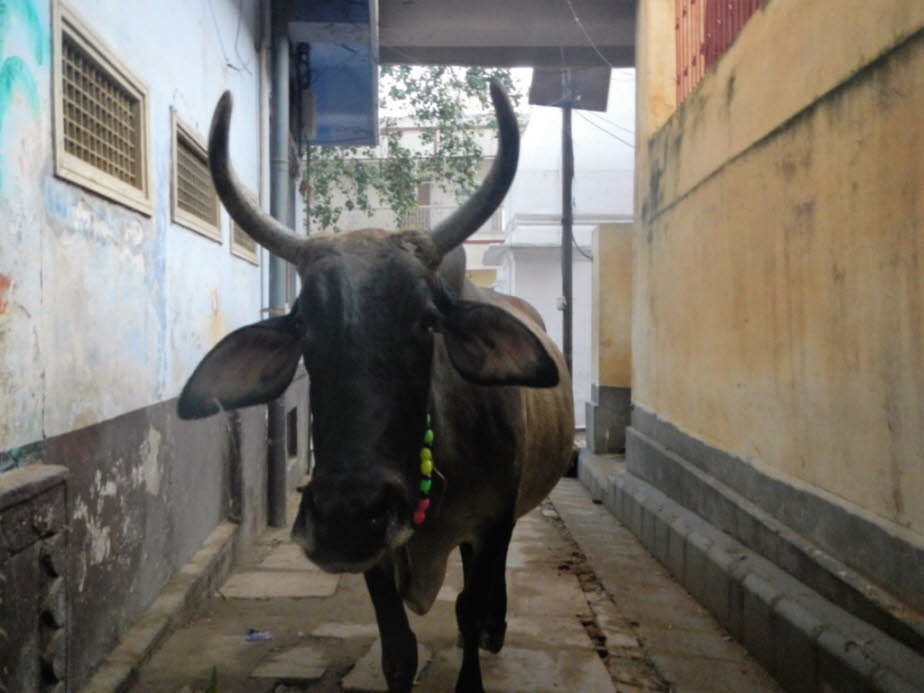 Straße in der Altstadt von Varanasi