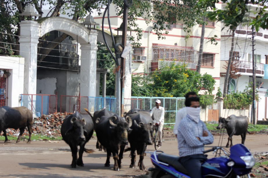 Straße in der Altstadt von Varanasi