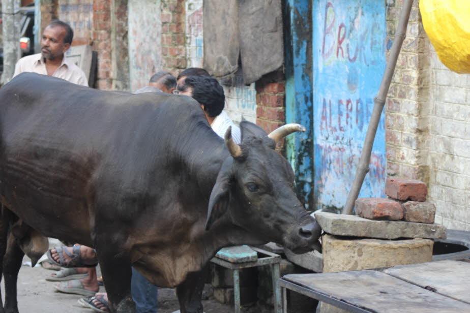 Straße in der Altstadt von Varanasi