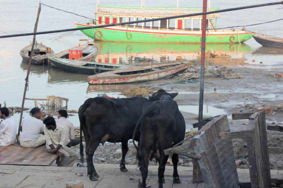 Alltag in Varanasi  