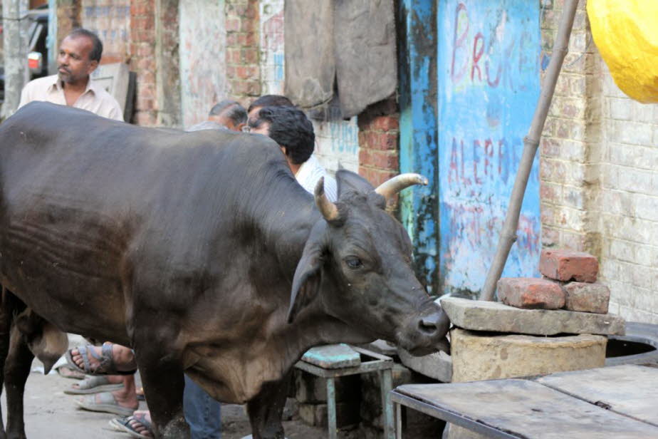 Alltag in Varanasi 