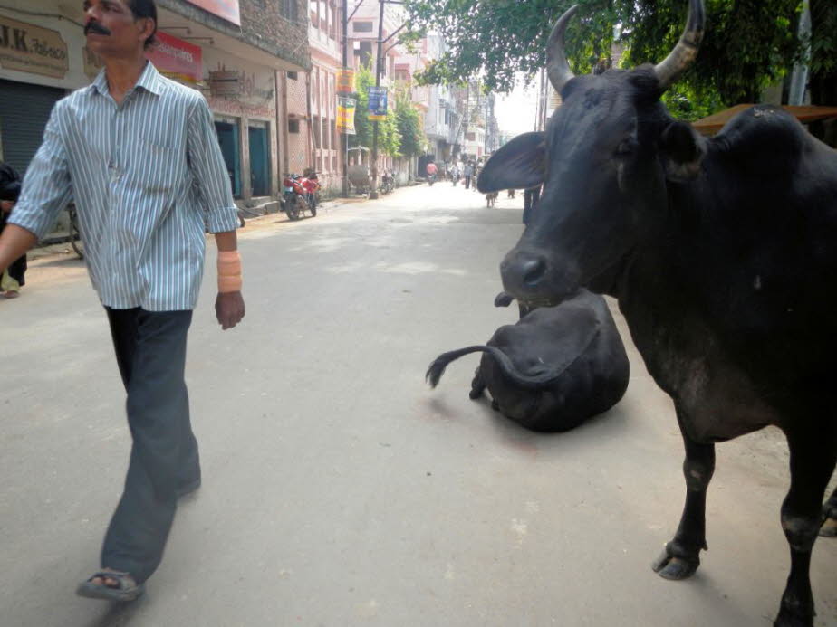 Alltag in Varanasi 