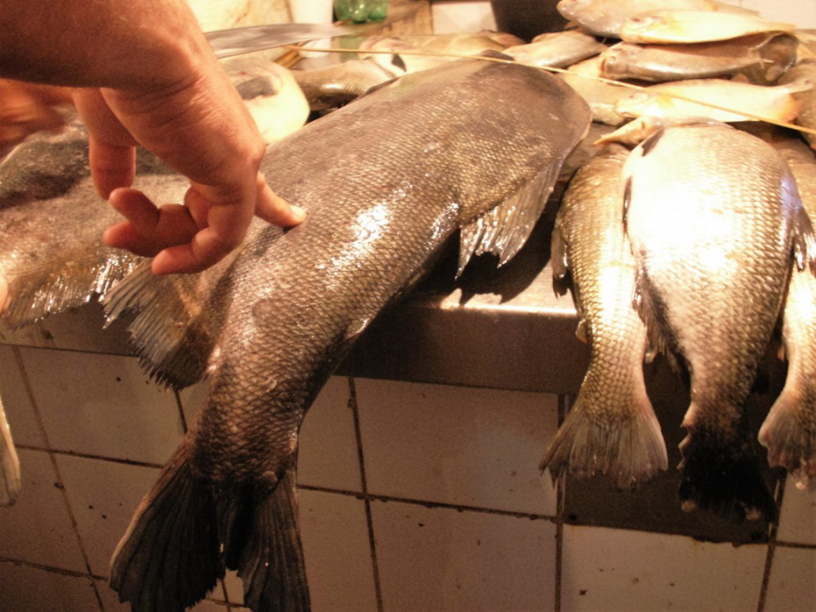 Fischmarkt Manaus