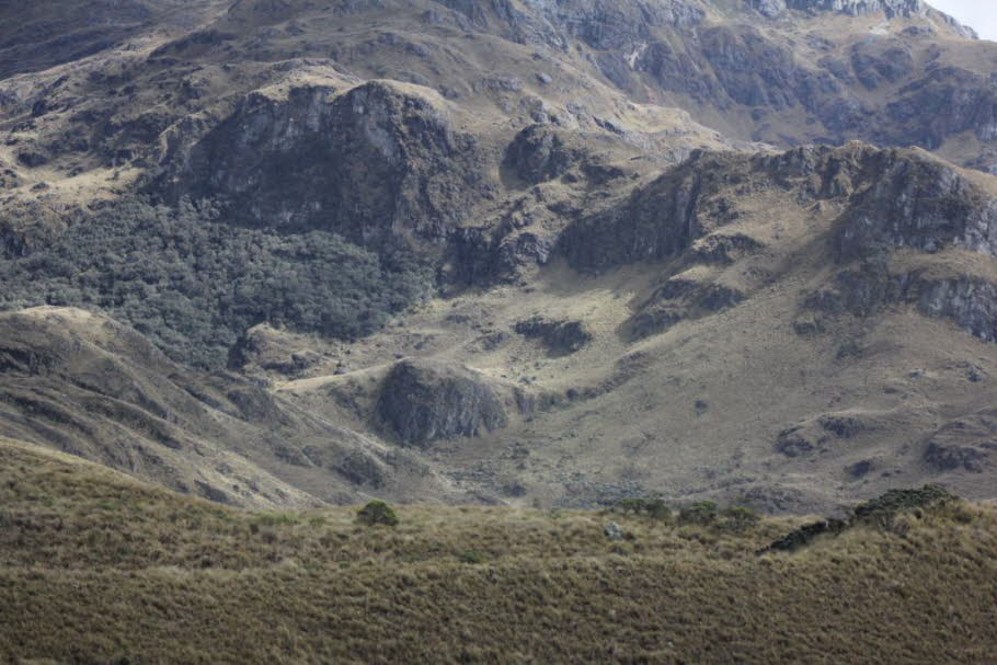 Cajas Nationalpark 