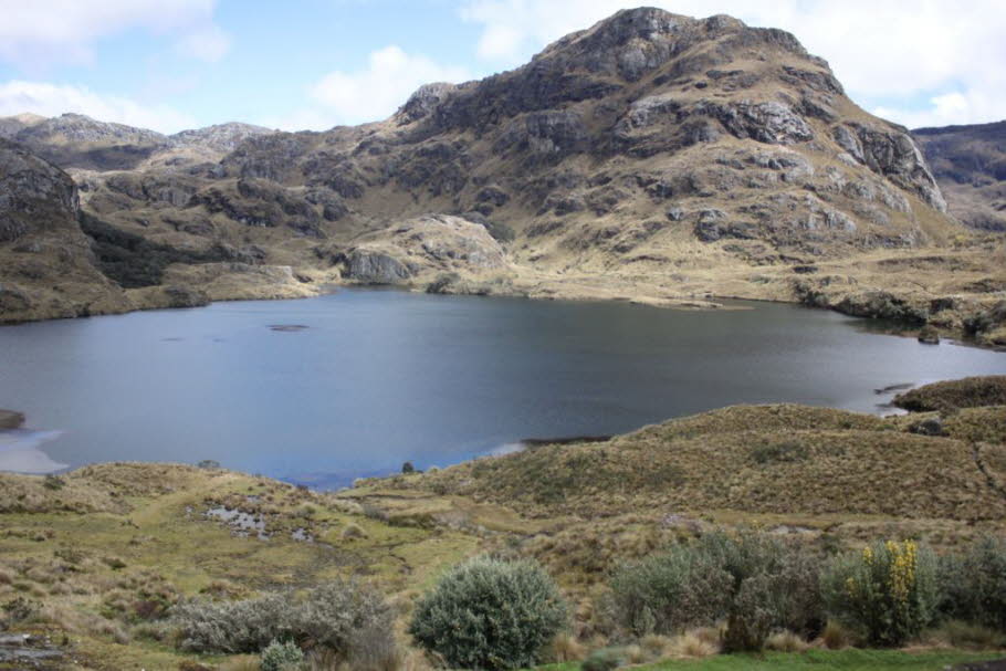 Cajas Nationalpark