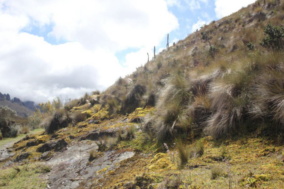 Cajas Nationalpark 