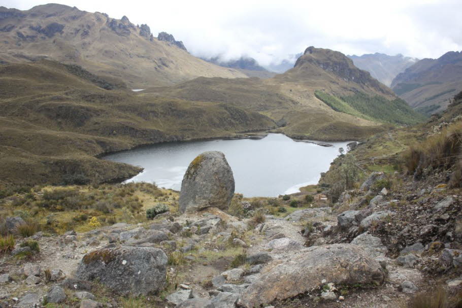 Cajas Nationalpark 