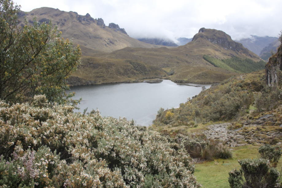 Páramosee, Laguna Toreadora, Cajas Nationalpark Ecuador - Cajas ist einer der besten Parks in Ecuador, um im Paramo (Hochalpen-Ökosystem) zu wandern. Es ist leicht zugänglich, es ist gut erhalten und ist einfach sehr schön. Die Natur ist von guter Qualitä