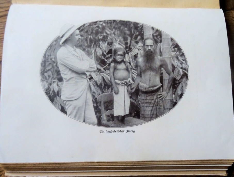 Analyse kolonialer Sprache und Bilder: 1. Exotisierung und Romantisierung: Hagenbeck beschreibt Ceylon als „Tropenparadies“ und „Perle Indiens“.Die Natur wird als „Naturwunder“ und „Merkwürdigkeit“ dargestellt – ein klassisches koloniales Motiv, das die I