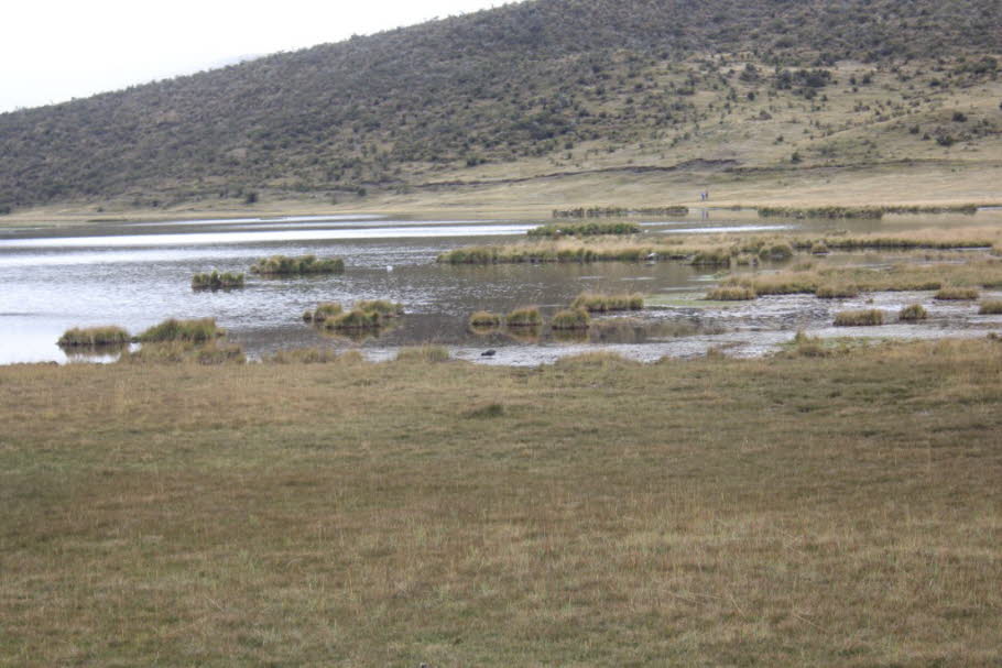 Cotopaxi Nationalpark 