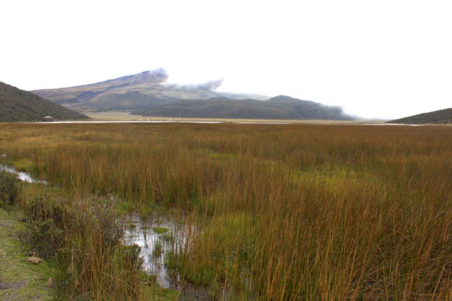 Der Cotopaxi ist einer der höchsten aktiven Vulkane der Welt. Er bestimmt die gesamte Landschaft des Schutzgebietes, zu der auch zwei kleinere gehören, der Morurco (4.880 m) neben dem Cotopaxi und der Rumiñahui (4.722 m), die ebenfalls sehr nah beieinandei