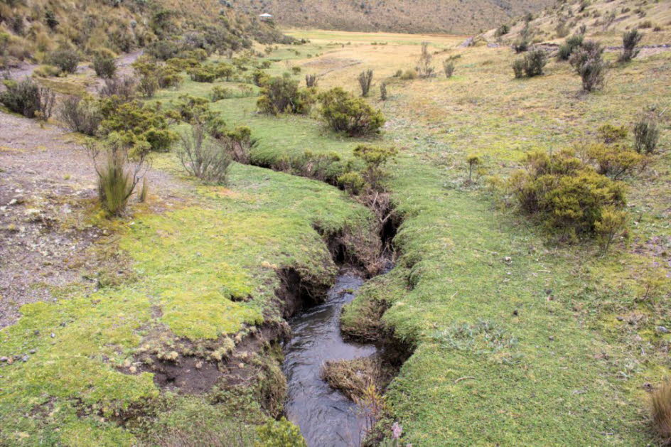 Cotopaxi Nationalpark