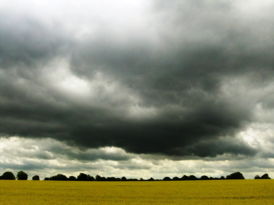 weil der Himmel ber den Rapsfeldern besonders gewaltig ist.