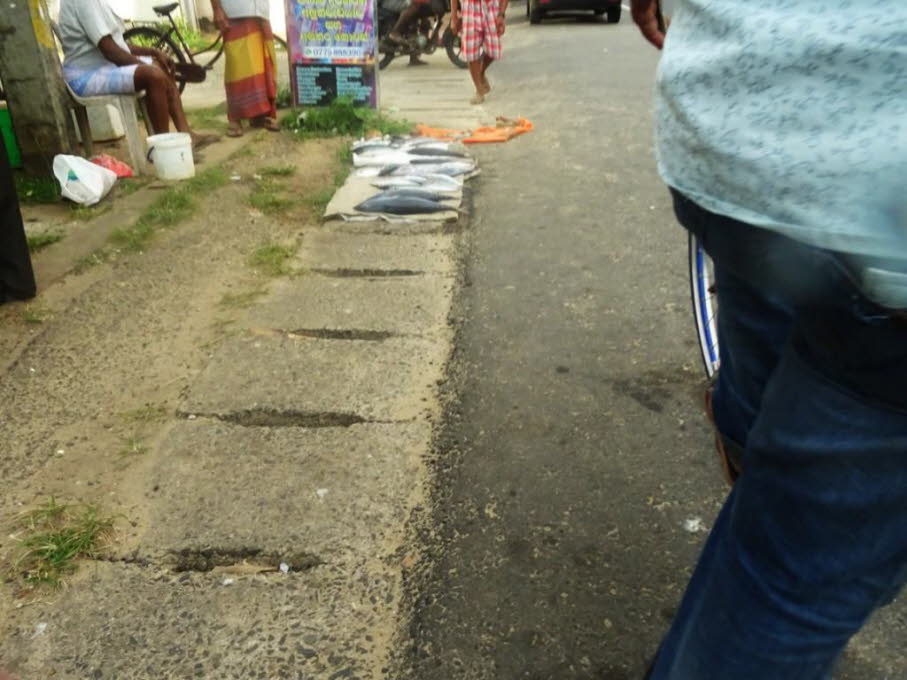 Der Fischhandel ist archaisch!