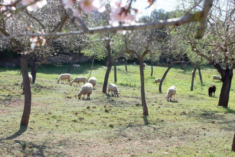 Frühling