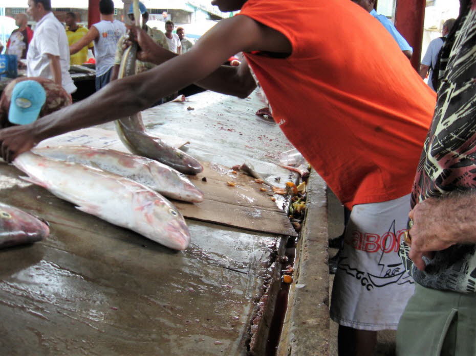 Fischmarkt in Mahé - Egal, ob Baby-Hai, Red Snapper, Papageienfisch, riesiger Segelfisch, Kaiser-Schnapper, Jobfisch, Fingerfisch, Cordonnier und andere Arten zeugen vom Artenreichtum der hiesigen Gewässer. Ein Hauptgericht auf den Seychellen besteht fast