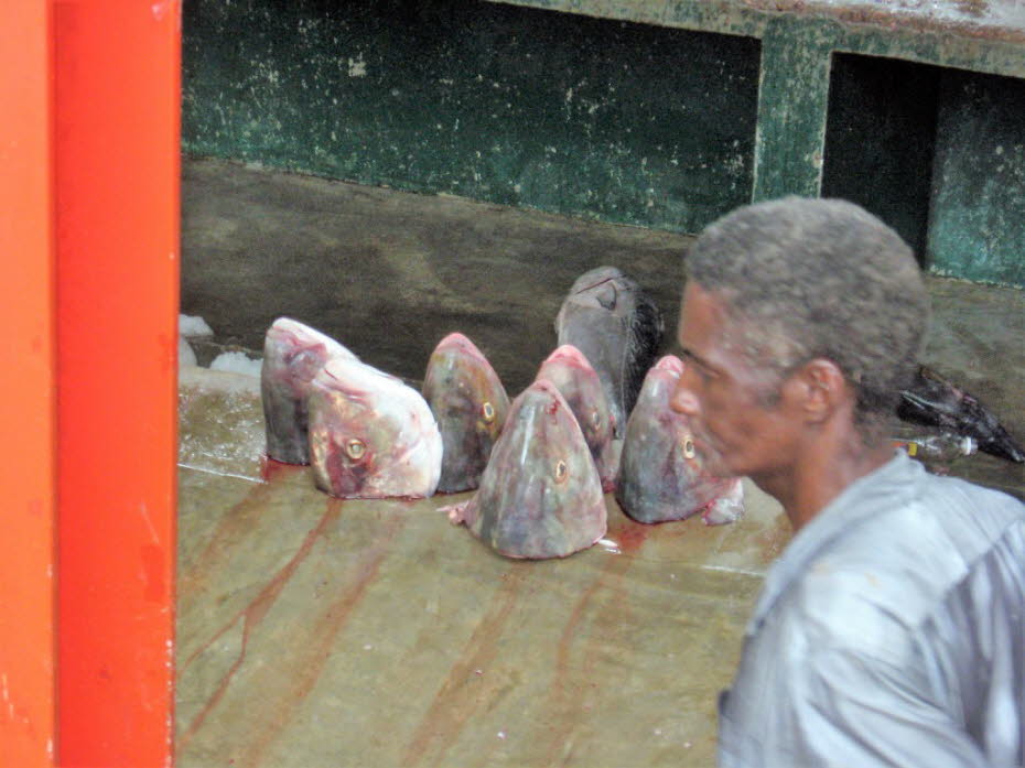 Fischmarkt in Mahé