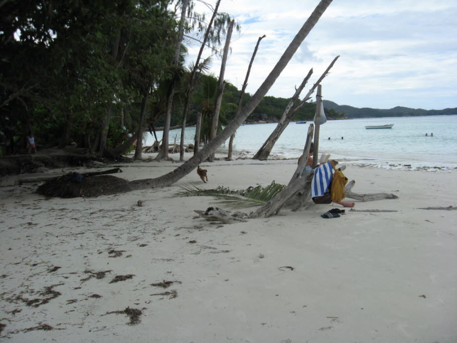 Strand auf Praslin