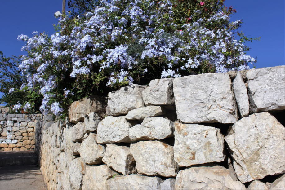 Burgberg in Ibiza-Stadt