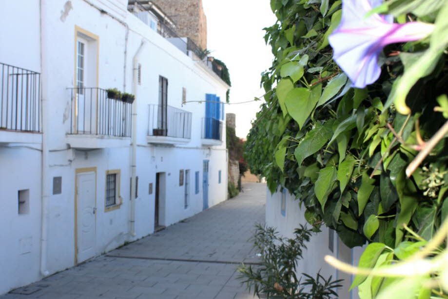 Burgberg in Ibiza-Stadt