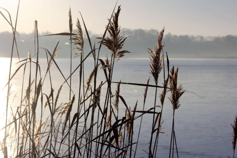 weil hier der Schmalensee liegt.