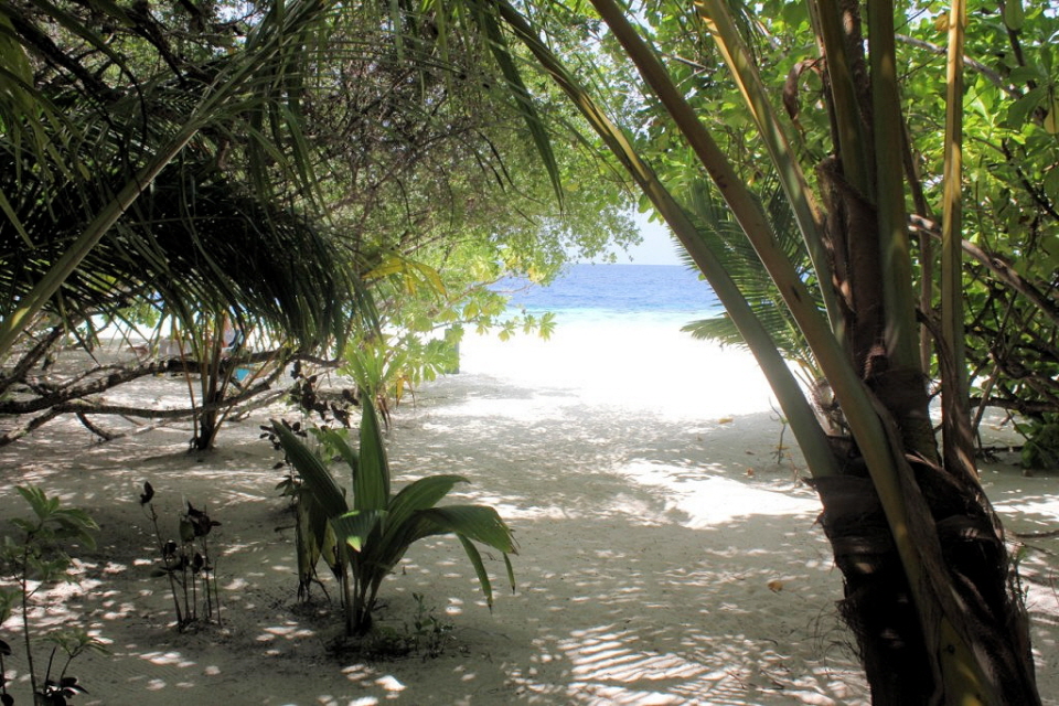 Strand
